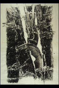 Folge Baumstrukturen, 2003, Chinatusche, Rohrfederzeichnung, Bhutan Papier (Buetten) 107,0x 78,5 cm (WV 01058.01).jpg